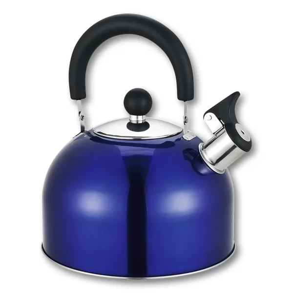 2.5 litre whistling kettle metallic purple