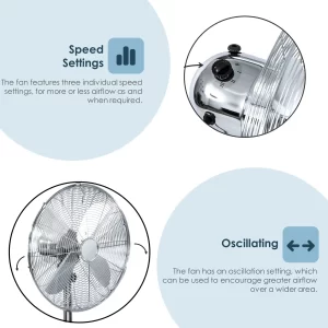 fan with oscillating